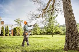 Best Utility Line Clearance  in Gallatin, TN