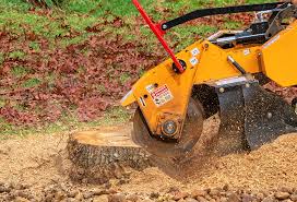 Best Lawn Mowing  in Gallatin, TN