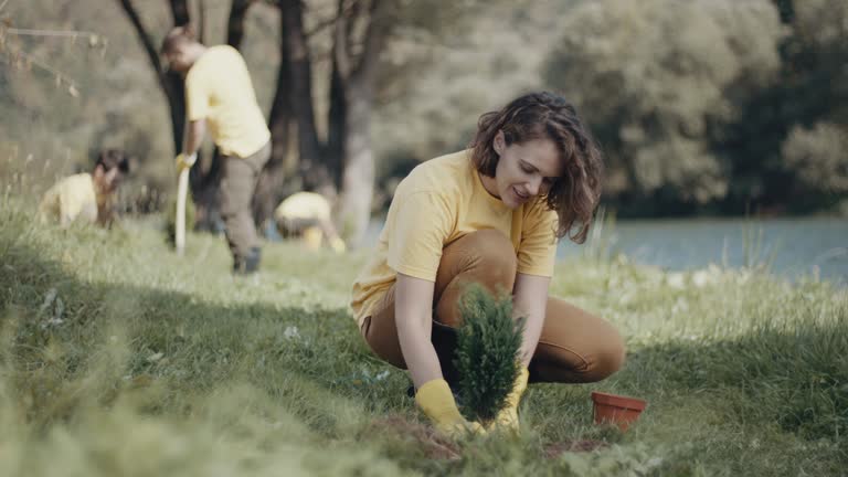 Best Organic Lawn Care Solutions  in Gallatin, TN