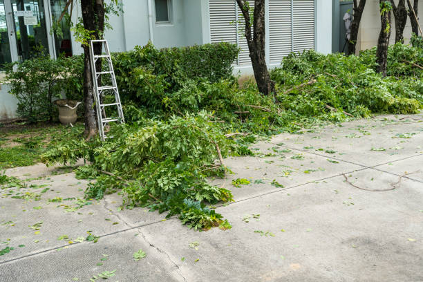 Best Lawn Pest Prevention  in Gallatin, TN
